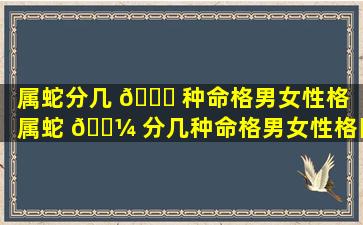 属蛇分几 🐘 种命格男女性格（属蛇 🐼 分几种命格男女性格区别）